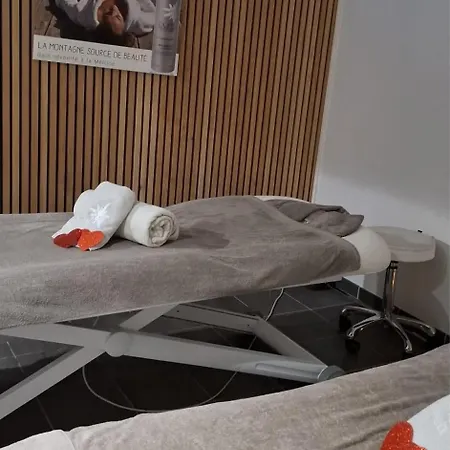 Superbesse Sur Les Pistes 4 Personnes Wifi Apartament *